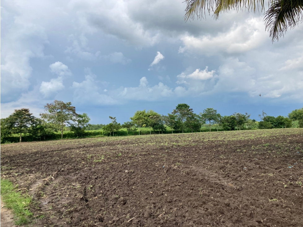 Venta Lote Tebaida Quindio - Colombia COD: 6204474 - 2