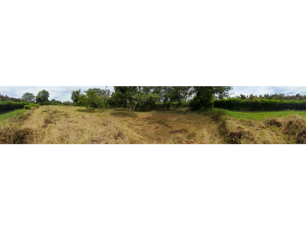 Venta Lote Sur Armenia Quindio - Colombia COD: 6986190