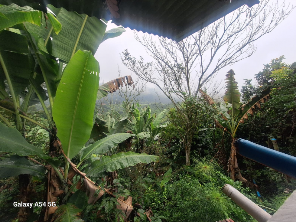 Venta Casa Campestre Salento. Quindío - Colombia COD: 9054527 - 6