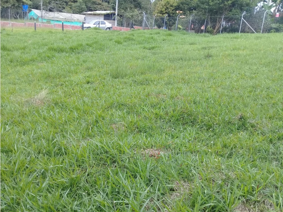 LUXA VENDE LOTE PARCELACION BOQUERON 3.VIA MAMÁ LOMBRIZ - 6