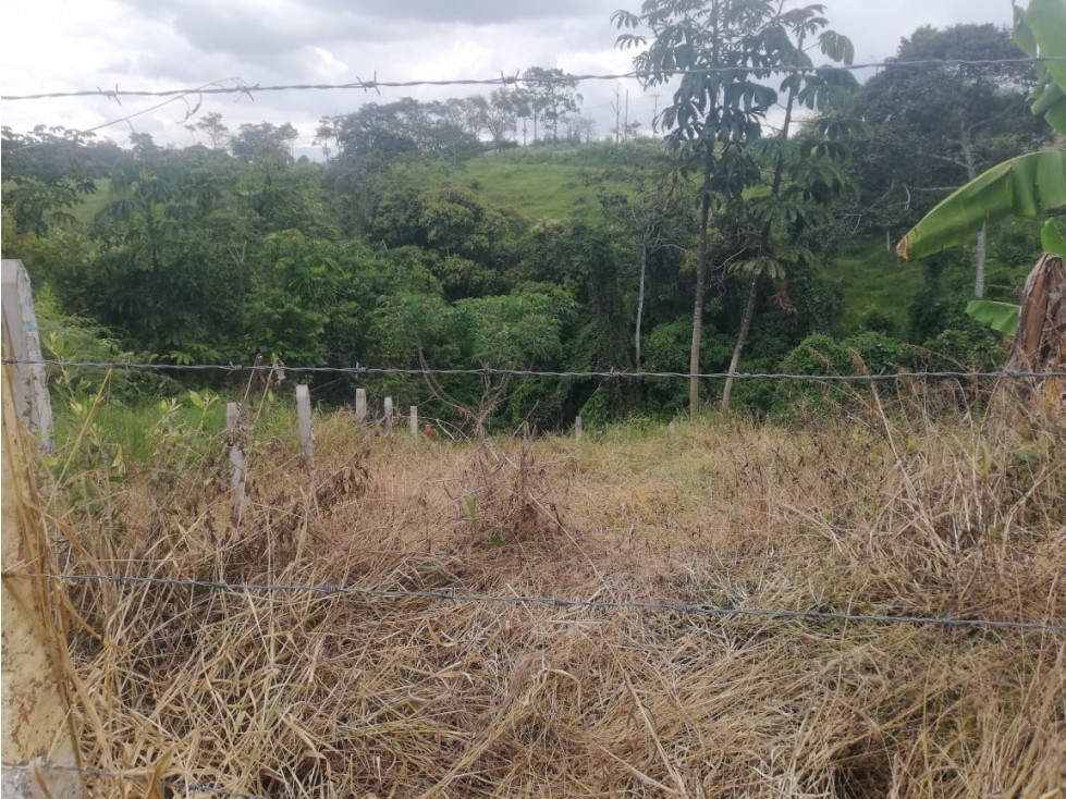 LUXA INMOBILIARIA VENDE o PERMUTA LOTE ALTOS DE CATLEYA.VIA TOTORO — foto 5