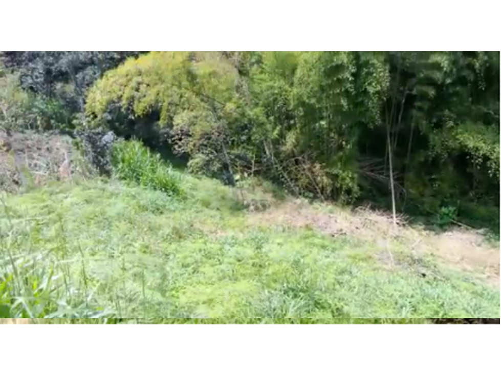 LUXA VENDE PARCELA VEREDA JULUMITO SECTOR LOMAS DE GRANADA POPAYAN - 1