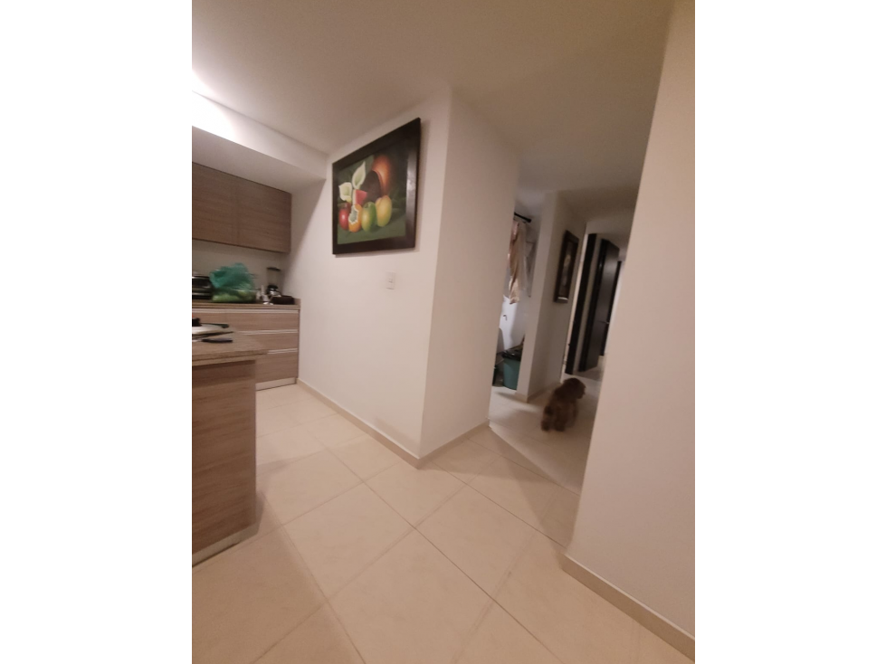 LUXA VENDE APARTAMENTO CONJUNTO CERRADO SOLARIUM - 1