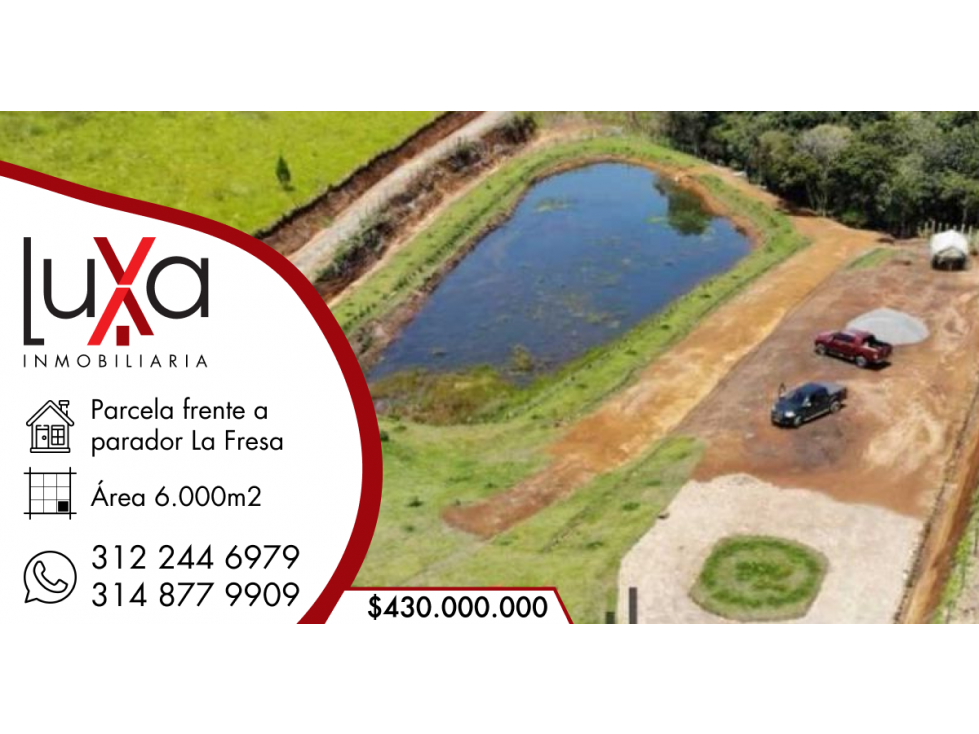 LUXA VENDE HERMOSA PARCELA FRENTE PARADOR LA FRESA SECTOR EL COFRE - 1