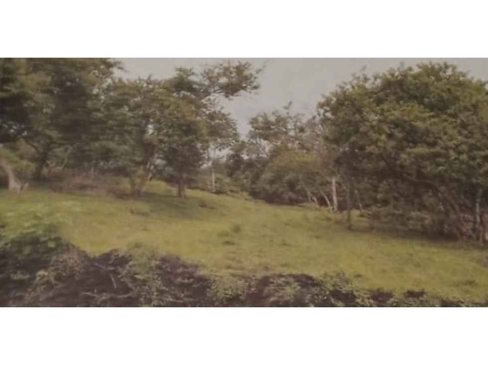 LUXA VENDE LOTE VIA A TIMBIO GUAYABALES DE LA HACIENDA