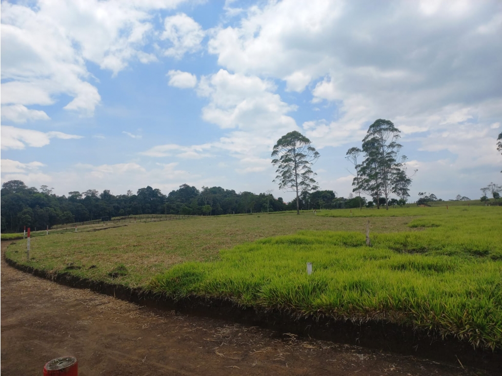 LUXA VENDE LOTES CAMPESTRES SENDEROS DEL BOSQUE - LAGO BOLSON POPAYAN - 3