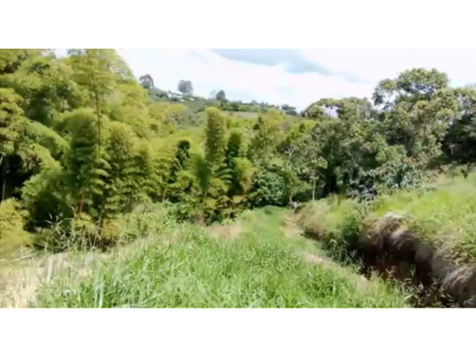 LUXA VENDE PARCELA VEREDA JULUMITO SECTOR LOMAS DE GRANADA POPAYAN - 2