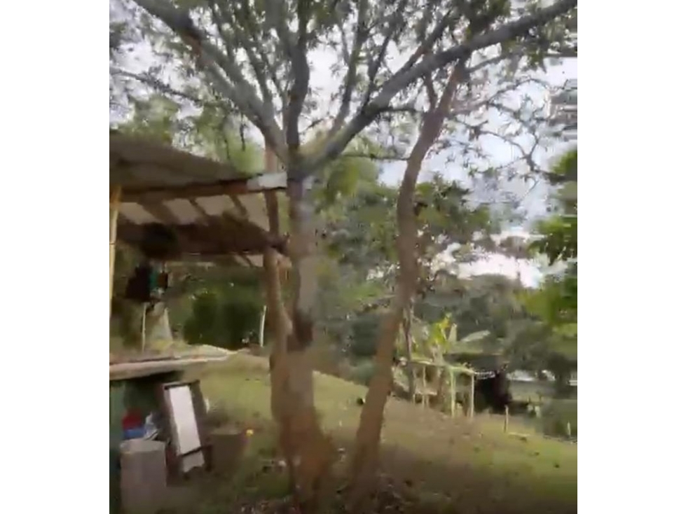 LUXA VENDE LOTE CLARETE BAJO POPAYAN CAUCA — foto 4