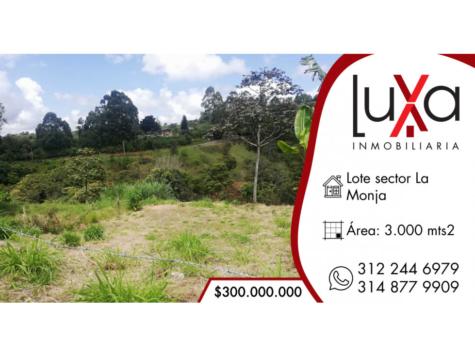 LUXA VENDE LOTE PARCELACIÓN LA MONJA - TIMBIO - 1