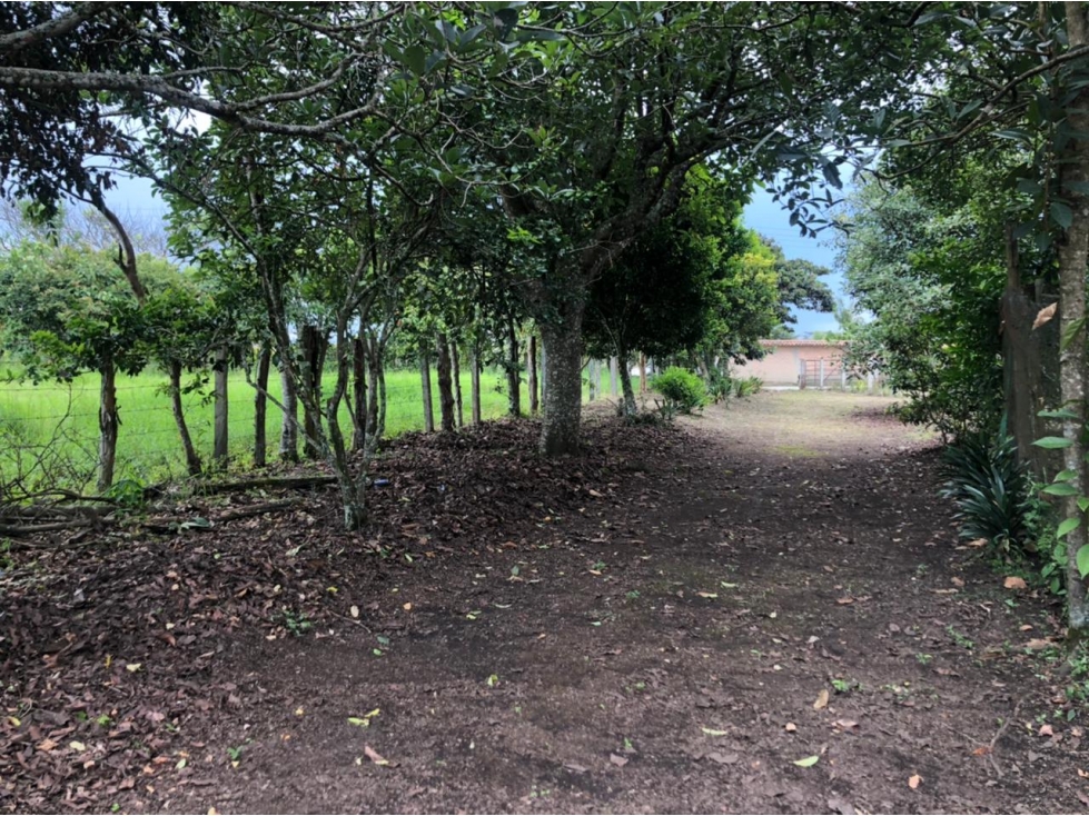 LUXA VENDE LOTE PARCELACION SAN FRANCISCO-VARIANTE NORTE - 3