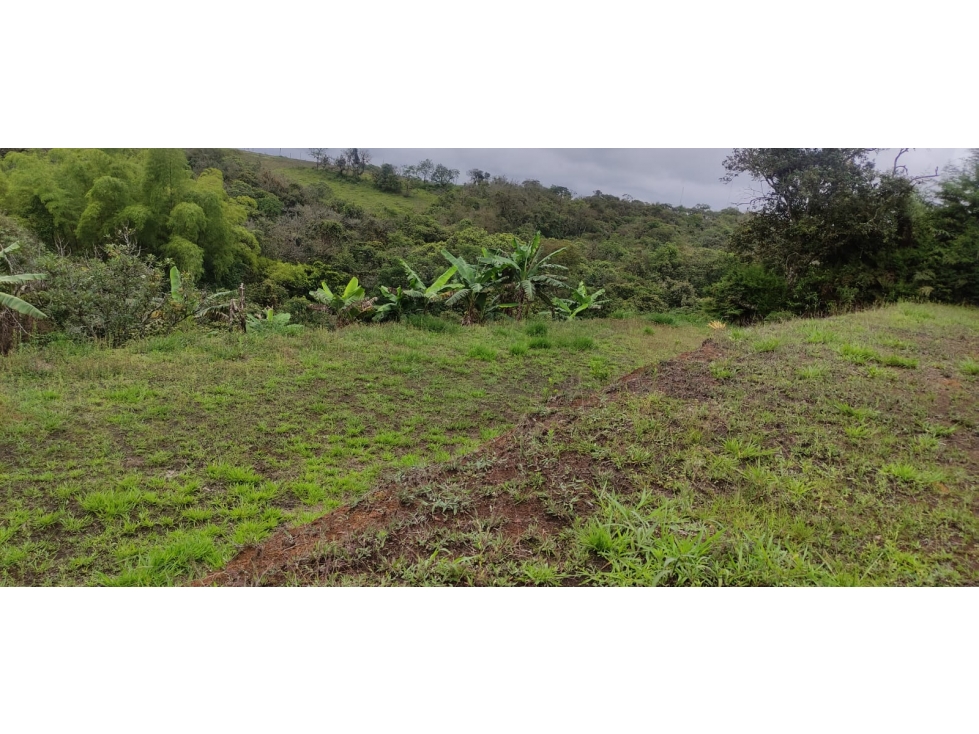 LUXA INMOBILIARIA VENDE LOTE PARCELACION SAN FRANCISCO VARIANTE NORTE - 3