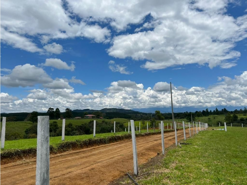LUXA VENDE PARCELAS EN LA VEREDA LA REJOYA POPAYAN VIA AL ROSARIO — foto 3