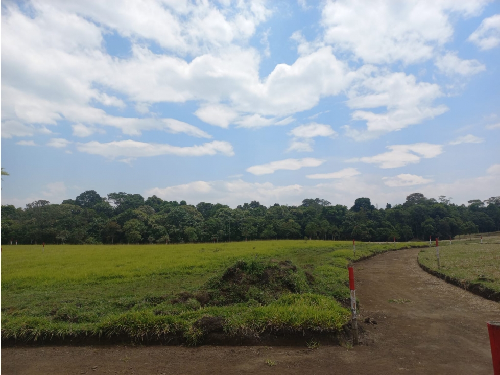 LUXA VENDE LOTES CAMPESTRES SENDEROS DEL BOSQUE - LAGO BOLSON POPAYAN - 1