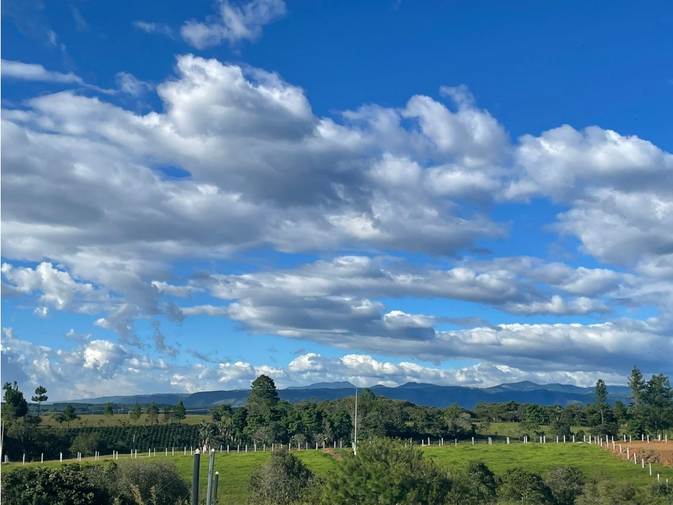 LUXA VENDE PARCELAS EN LA VEREDA LA REJOYA POPAYAN VIA AL ROSARIO — foto 4