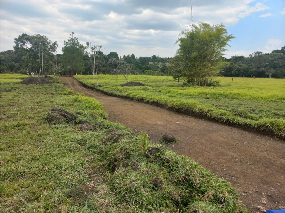 LUXA VENDE LOTES CAMPESTRES SENDEROS DEL BOSQUE - LAGO BOLSON POPAYAN - 4