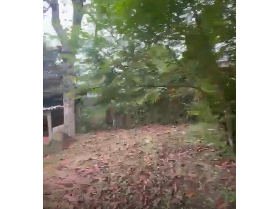 LUXA VENDE LOTE CLARETE BAJO POPAYAN CAUCA — foto 6