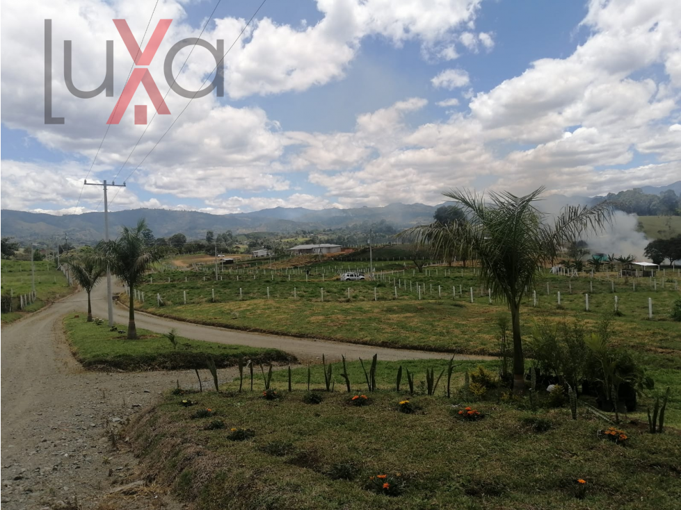 LUXA VENDE LOTES EN CONDOMINIO CAMPESTRE SAN CARLOS - VIA A CAJIBIO — foto 5