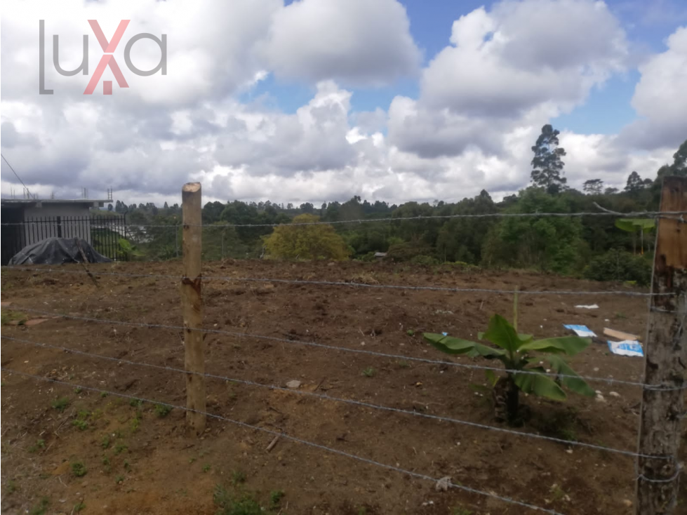 LUXA VENDE LOTE PARCELACIÓN LA MONJA - TIMBIO - 4