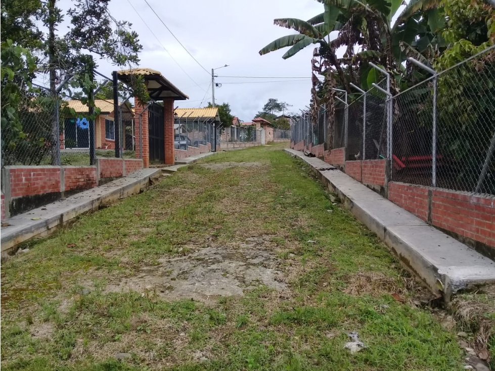 LUXA VENDE LOTE PARCELACION BOQUERON 3.VIA MAMÁ LOMBRIZ - 1