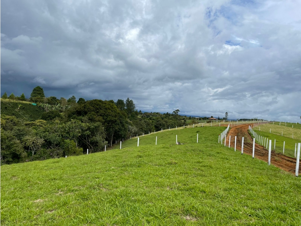 LUXA VENDE PARCELAS EN LA VEREDA LA REJOYA POPAYAN VIA AL ROSARIO — foto 6