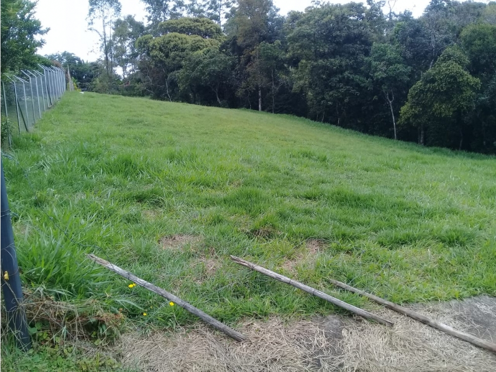 LUXA VENDE LOTE PARCELACION BOQUERON 3.VIA MAMÁ LOMBRIZ - 2