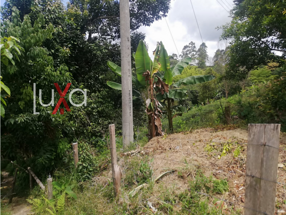 LUXA VENDE LOTE PARCELACIÓN LA MONJA - TIMBIO - 6