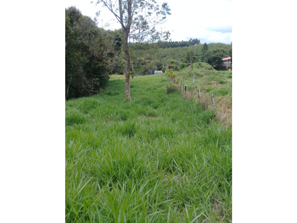 LUXA VENDE LOTE PARCELACION BOQUERON 3.VIA MAMÁ LOMBRIZ - 3
