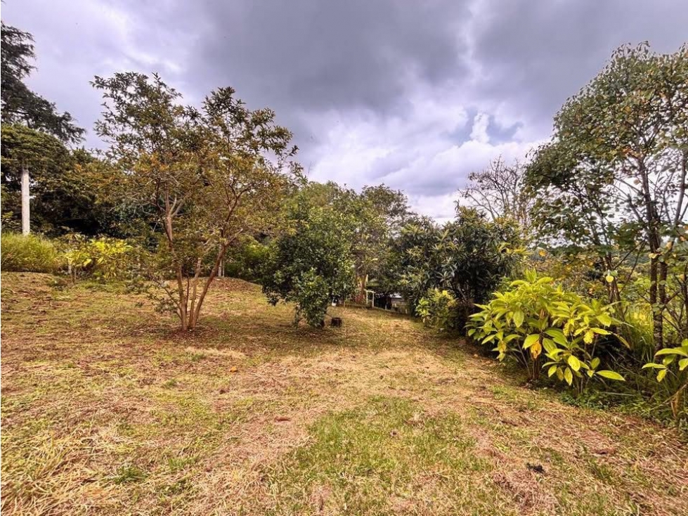 LUXA VENDE LOTE CLARETE BAJO POPAYAN CAUCA