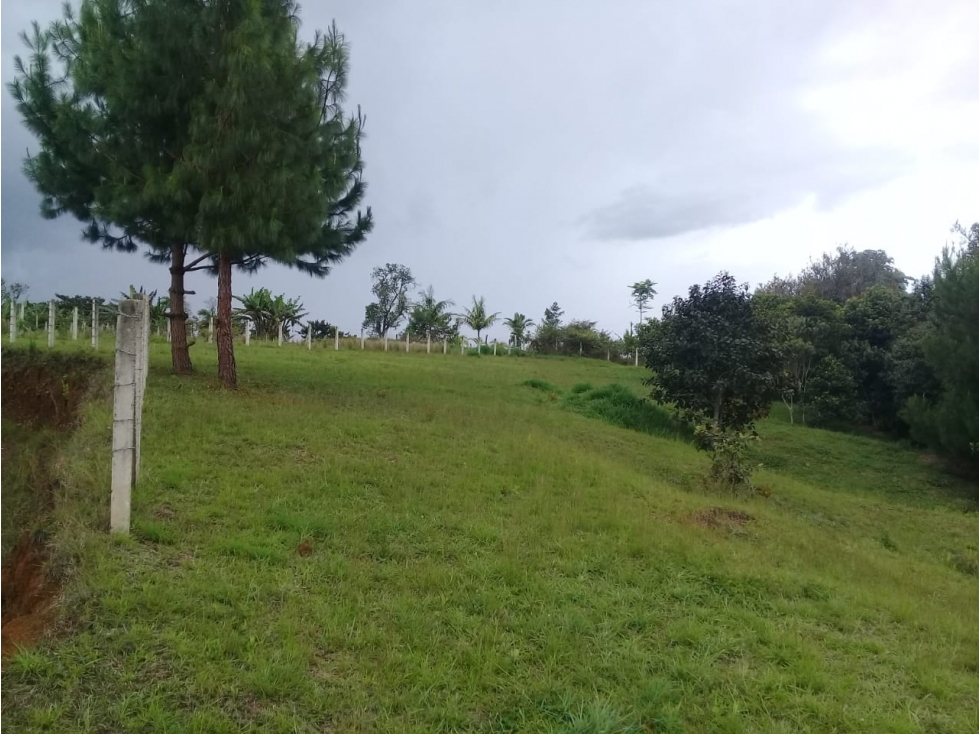 LUXA VENDE LOTE PARCELACION VEREDA FLORENCIA