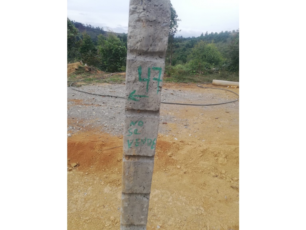 LUXA INMOBILIARIA VENDE o PERMUTA LOTE ALTOS DE CATLEYA.VIA TOTORO — foto 4