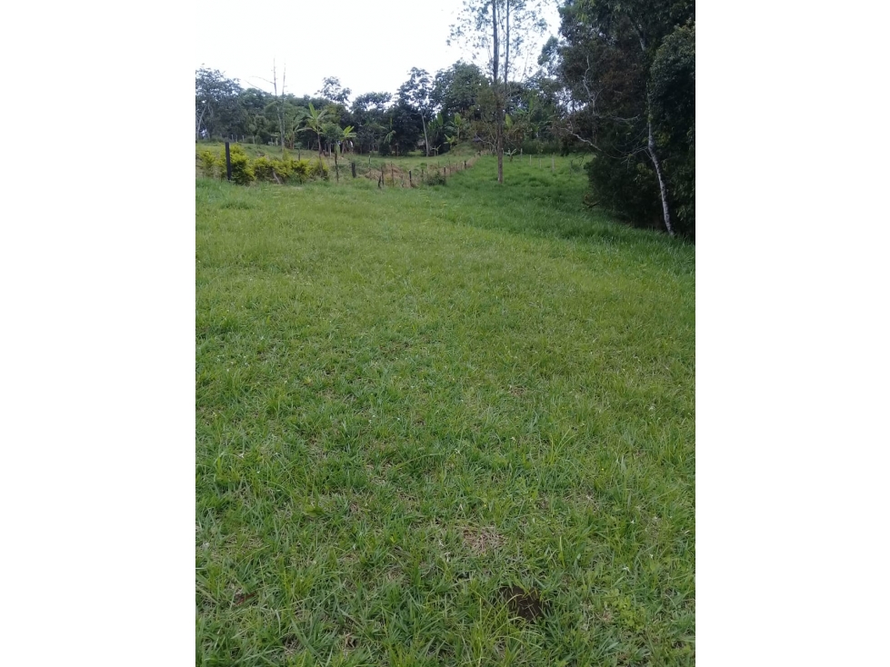 LUXA VENDE LOTE PARCELACION BOQUERON 3.VIA MAMÁ LOMBRIZ - 5