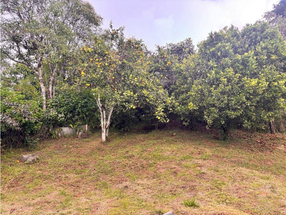 LUXA VENDE LOTE CLARETE BAJO POPAYAN CAUCA — foto 2