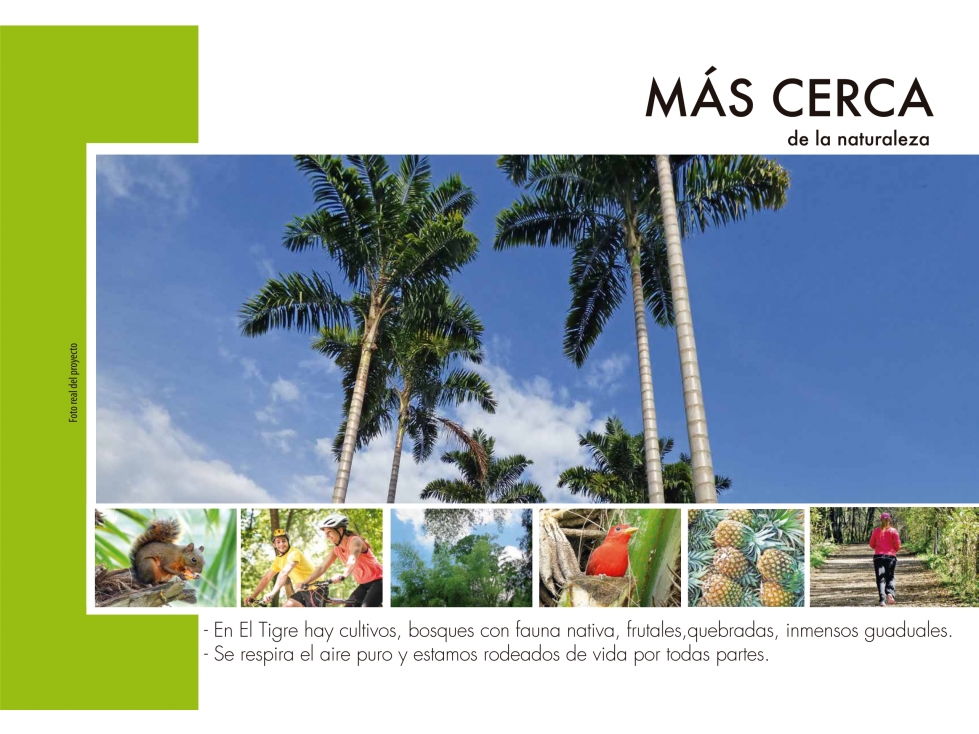PROYECTO CASAS CAMPESTRES, EL TIGRE, CERRITOS, PEREIRA, COLOMBIA — foto 6