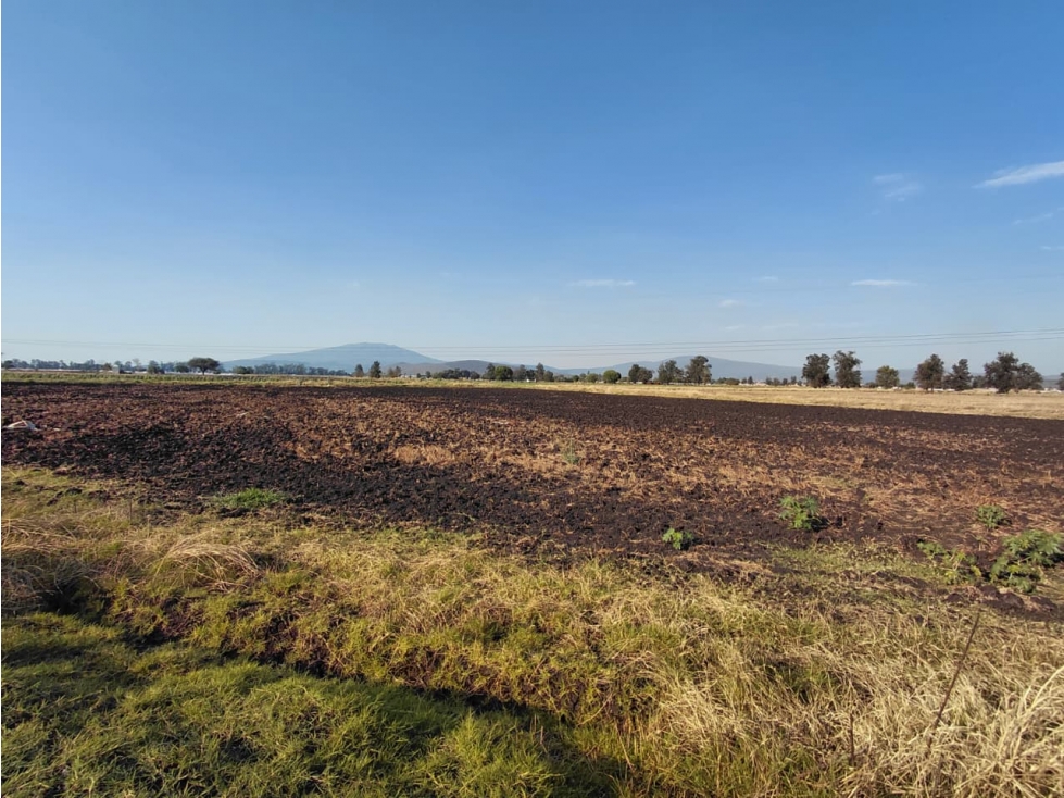 EN VENTA ,TIERRAS DE CULTIVO 16,792 m² EN ZAMORA MICHOACÁN - 3