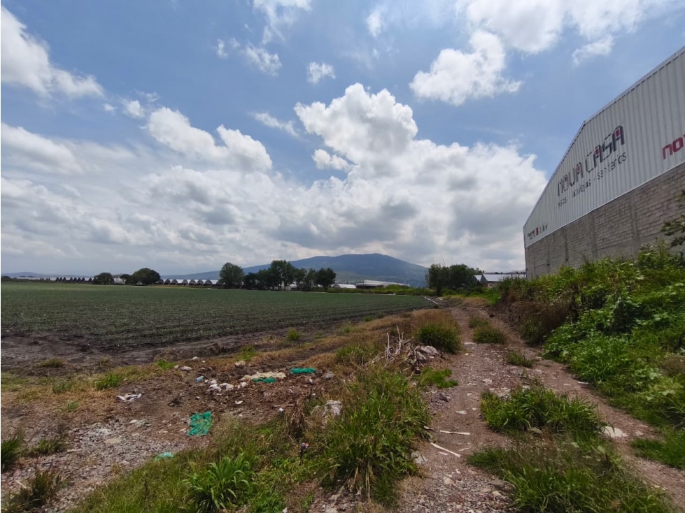 BODEGA Y TERRENO 22,429 m2 EN VENTA CARRETERA SHY/JIQUILPAN,MICH - 2
