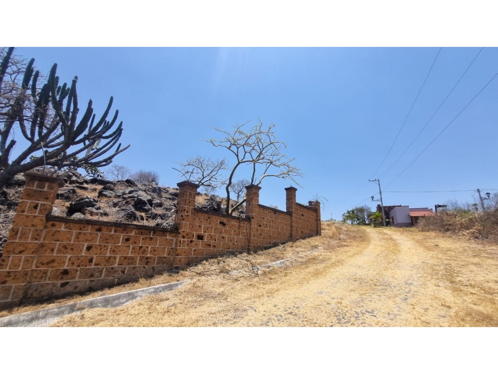 SOLO 8 TERRENOS EN VENTA FRACC. LOMAS DEL BOSQUE SAHUAYO MICHOACAN - 3