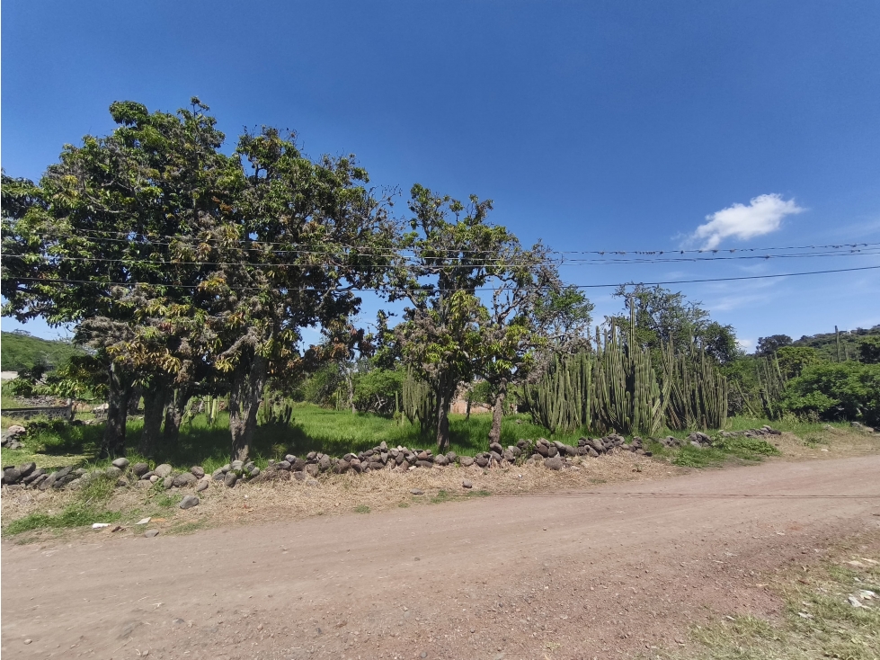 VENTA TERRENO EN ESQ. LA ESPERANZA (RINCON DE SAN ANDRES) SAHUAYO MICH - 2