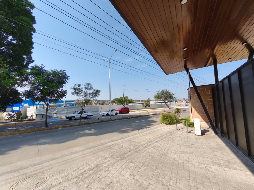ULTIMOS 4 LOTES DE 200 m2, VENTA COTO PRIVADO CEDAR SAHUAYO MICHOACAN - 2