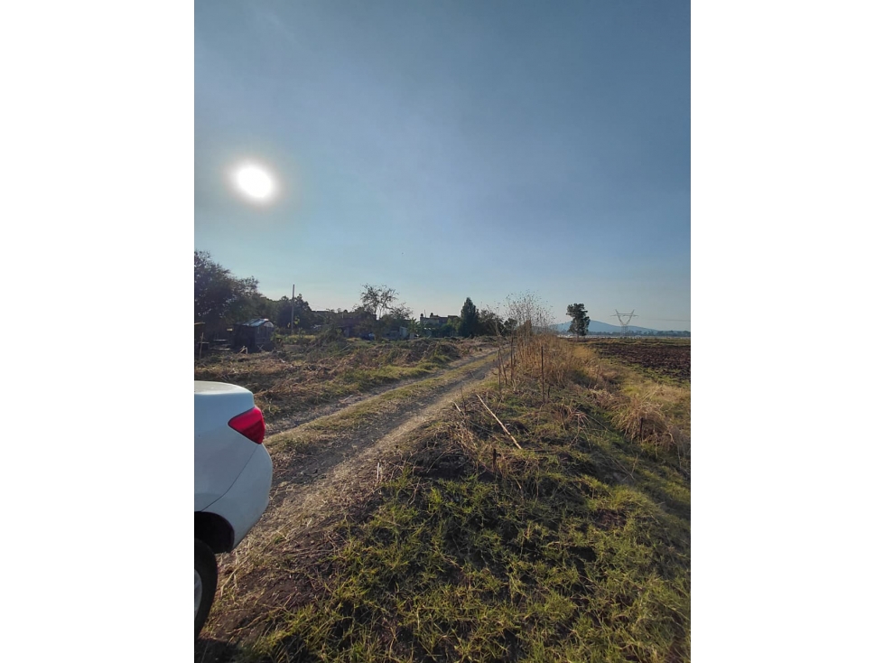 EN VENTA ,TIERRAS DE CULTIVO 16,792 m² EN ZAMORA MICHOACÁN - 6