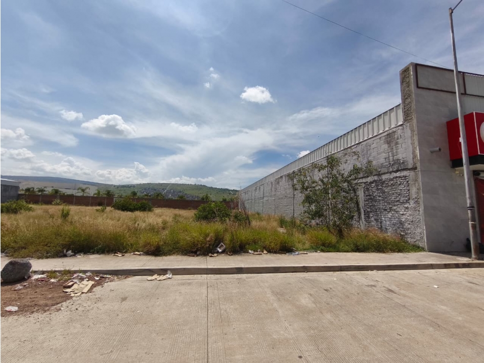TERRENO EN RENTA 960 M2, BLVRD LAZARO CARDENAS NTE, SAHUAYO MICH. - 1