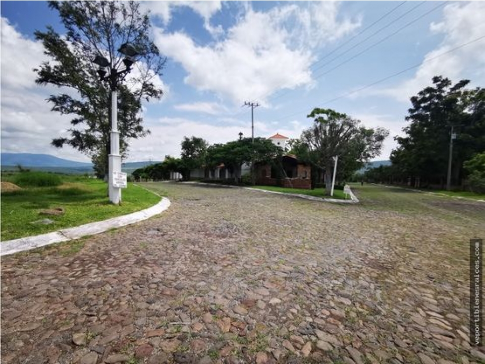 SOLO 8 TERRENOS EN VENTA FRACC. LOMAS DEL BOSQUE SAHUAYO MICHOACAN - 6