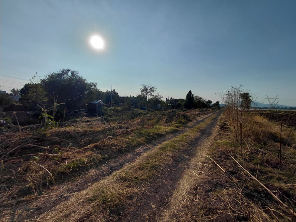 EN VENTA ,TIERRAS DE CULTIVO 16,792 m² EN ZAMORA MICHOACÁN - 5