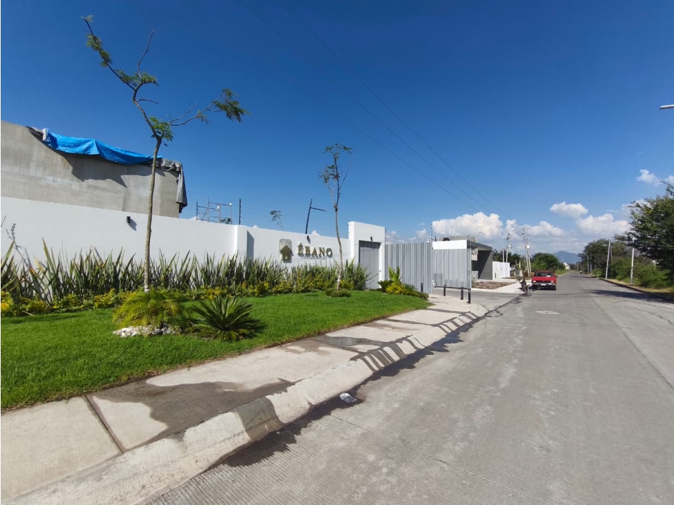 ULTIMOS 4 LOTES EN VENTA, FRACCIONAMIENTO COTO EBANO ,SAHUAYO MICH - 6