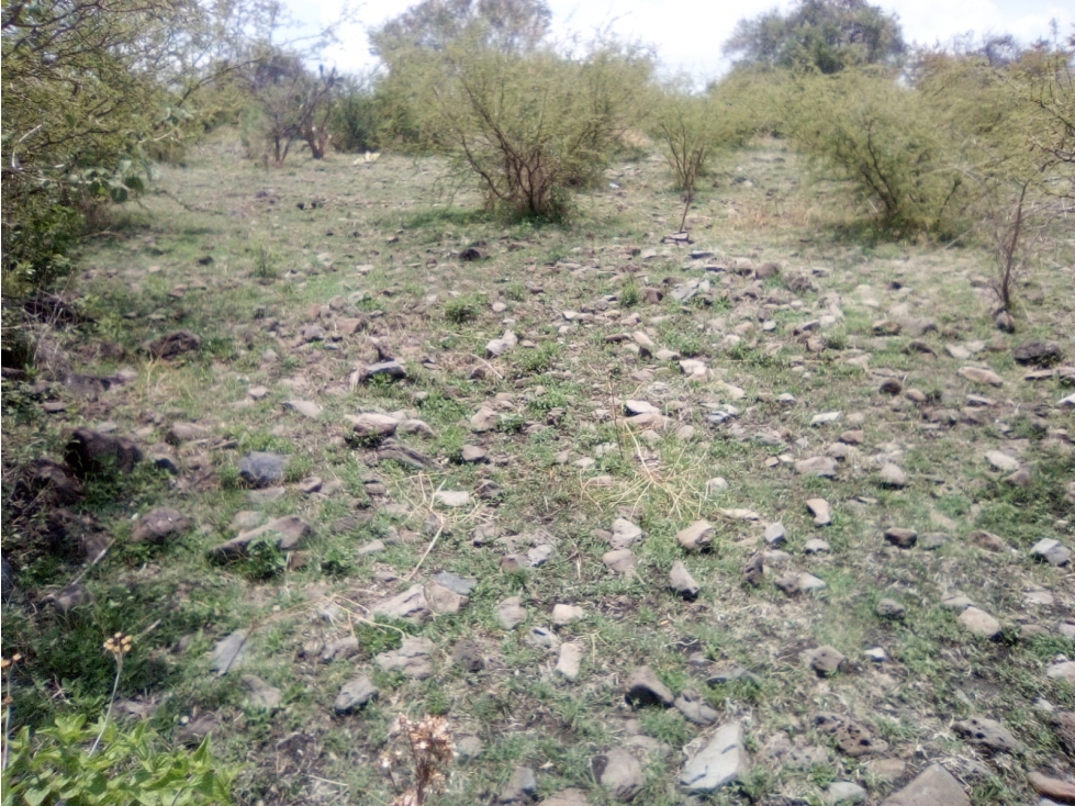 TERRENO LA YERBABUENA DE 108.00 M2 - 1