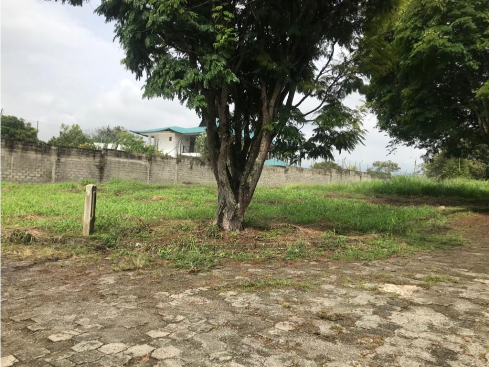 SE VENDE LOTE EN PANCE — foto 3