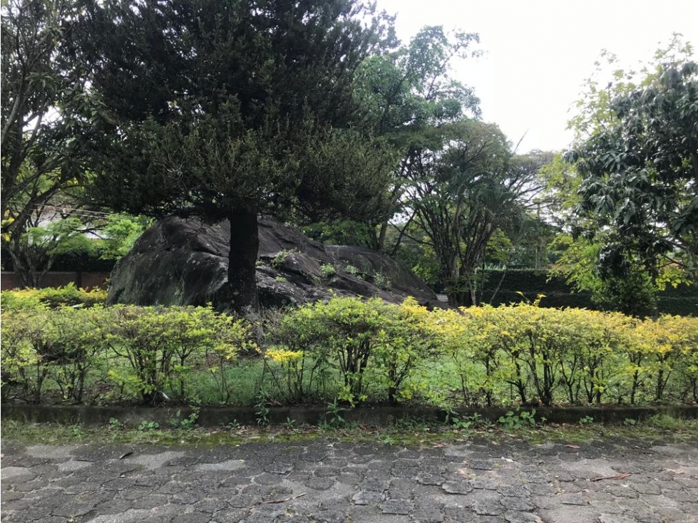 SE VENDE LOTE EN PANCE — foto 6
