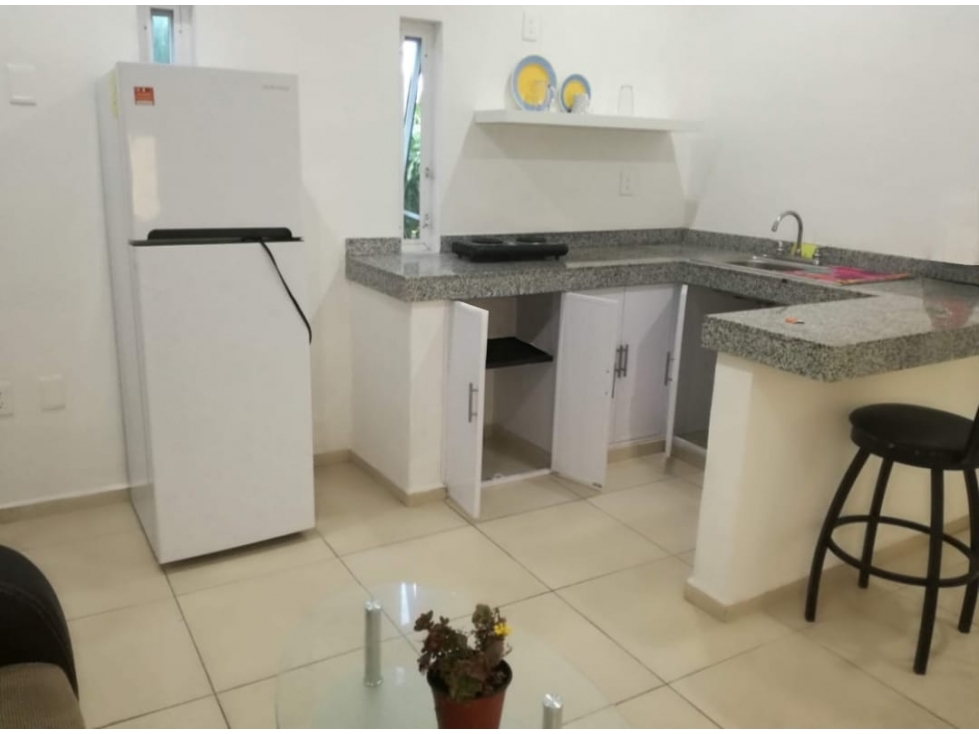 RENTO DEPARTAMENTO SOBRE AV 10 - 1