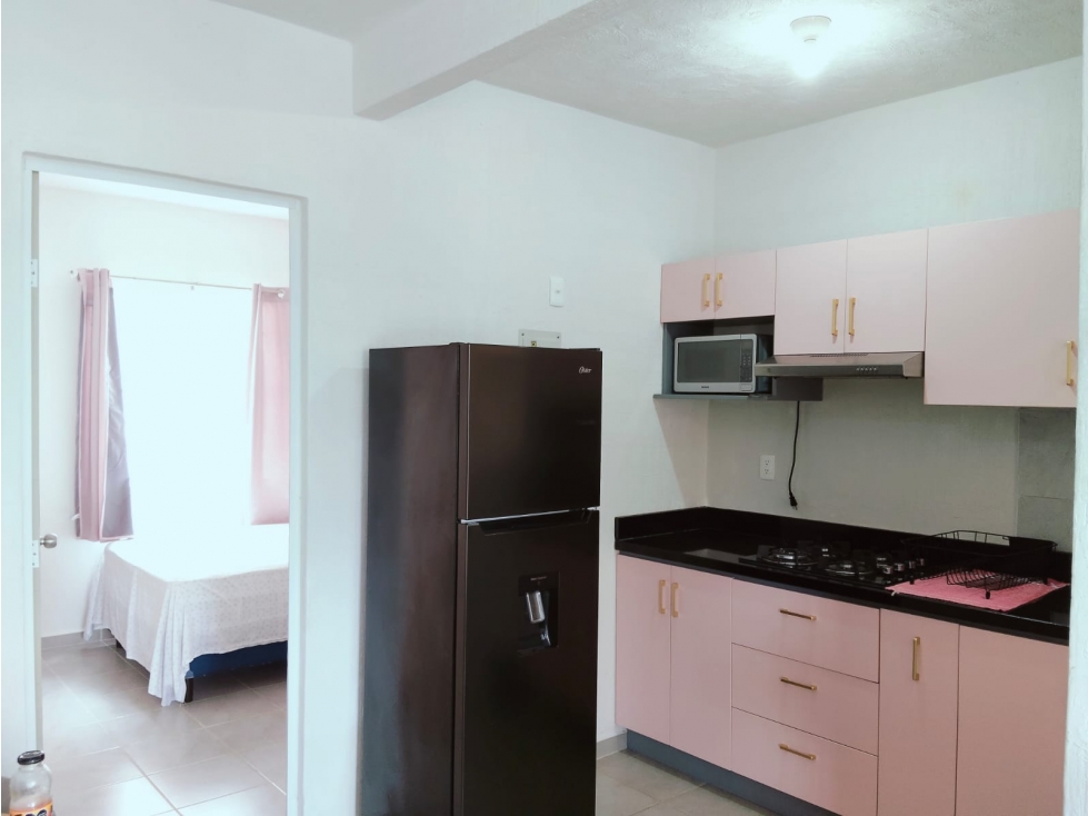 RENTA DEPARTAMENTO EN PASEOS DE SISAL — foto 6