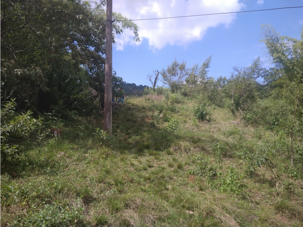 LOTE MEDIO DAPA — foto 5