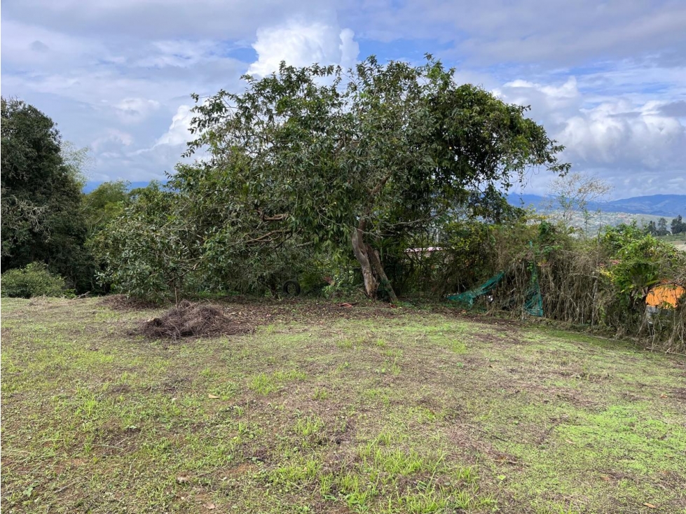 LOTE EN PARCELACION EN DAGUA — foto 6